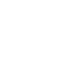 The Automotive Shop logo